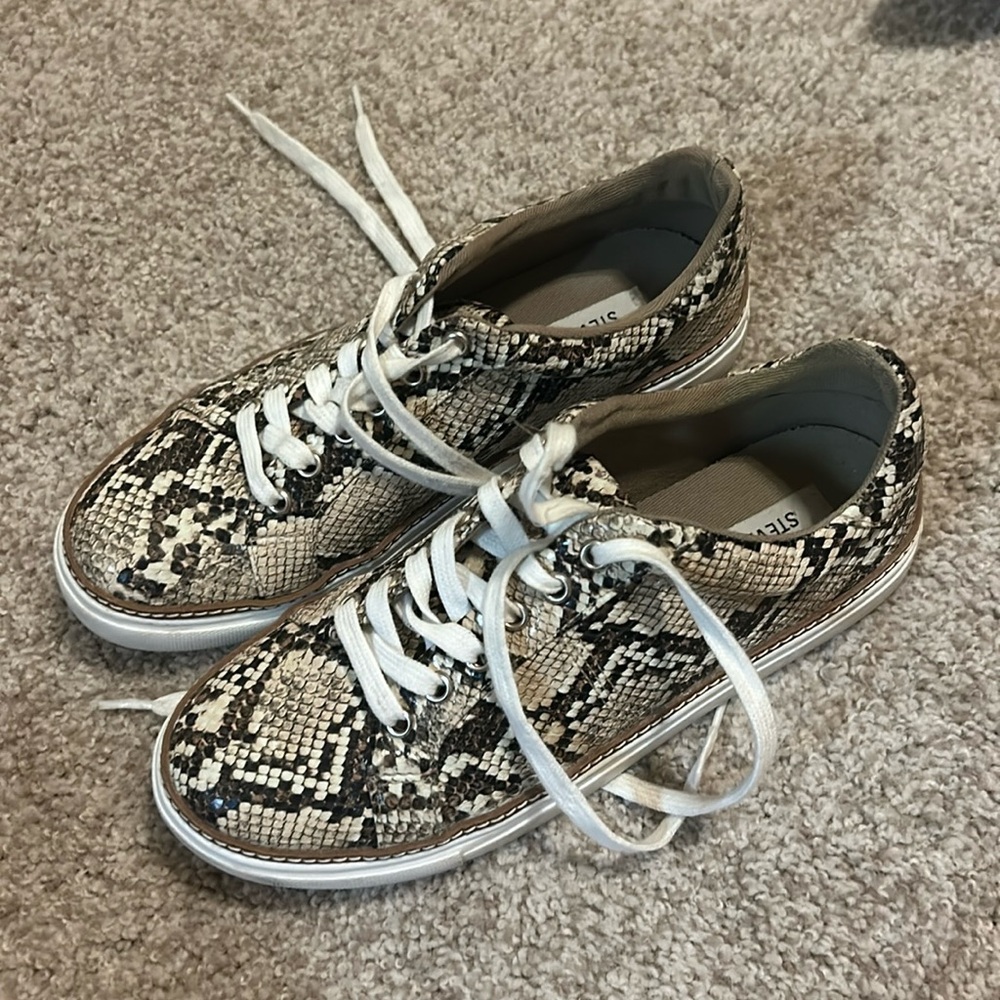 Snake skin Steve Madden Sneaker